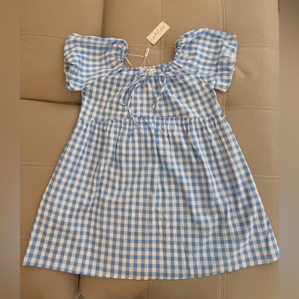 Petal & Pup Sky Blue and White Checkered Dress